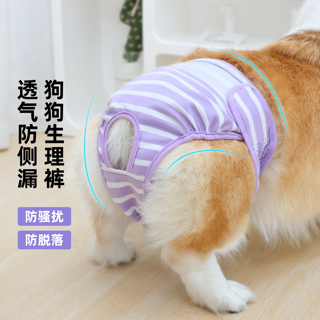 狗狗生理裤母狗专用柯基姨妈裤中型犬宠物生理期安全裤女狗经期裤