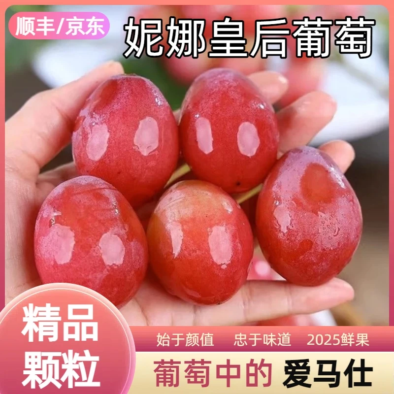 【顺丰/JD】妮娜皇后葡萄红宝石新鲜孕妇水果精品颗粒果1盒-2盒S6-1