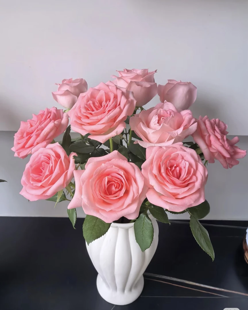 【葡噗花舍】戴安娜玫瑰【10枝】基地直发 一单包邮