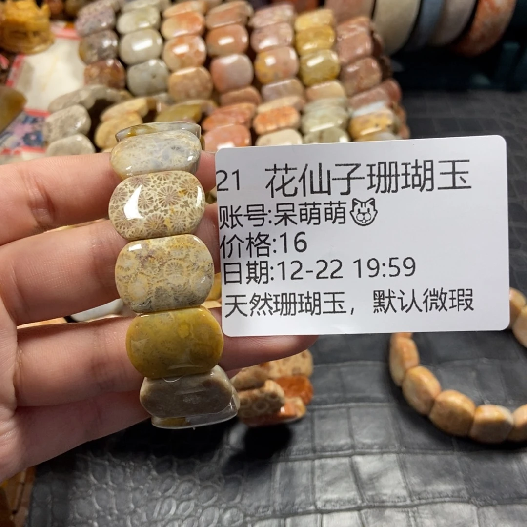 呆****硅化珊瑚（珊瑚玉）未镶嵌珠宝半成品21