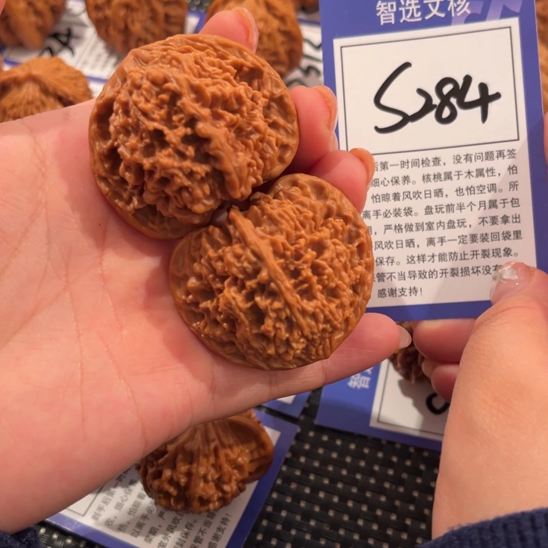 核桃S284号满天星44尺