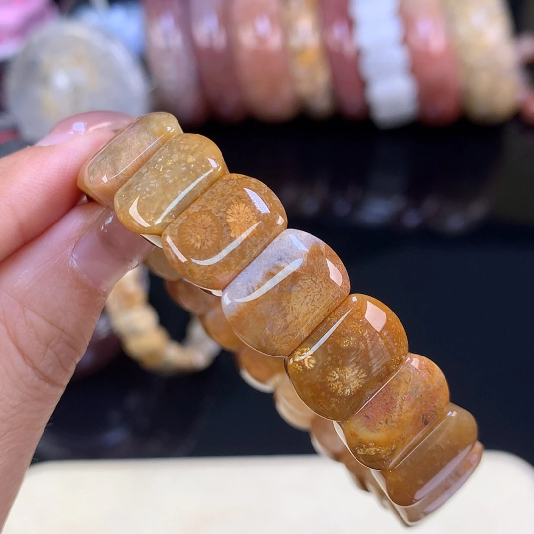 【闪购商品】颈饰未镶嵌硅化珊瑚（珊瑚玉）福利手牌22号