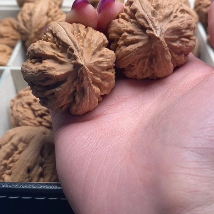 南***锦吊坠文玩核桃霸王龙