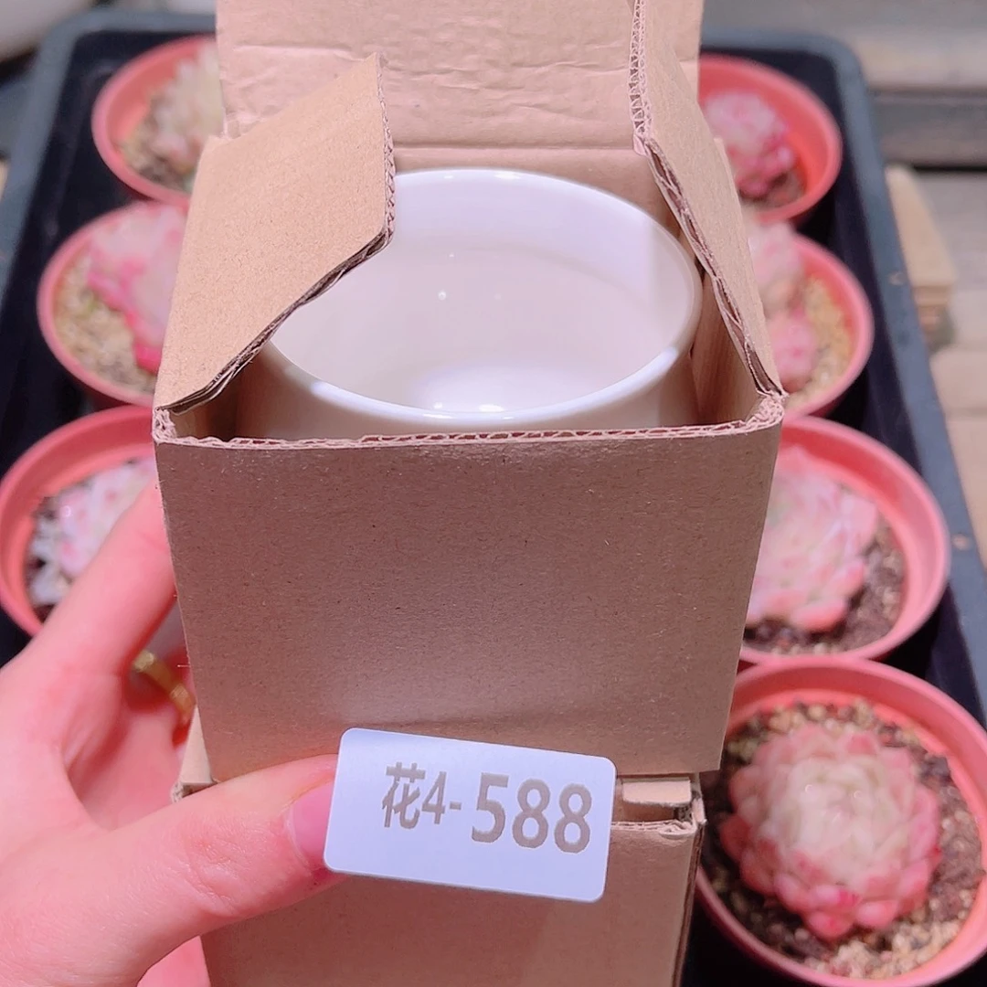 花利美4- 588花盆2个