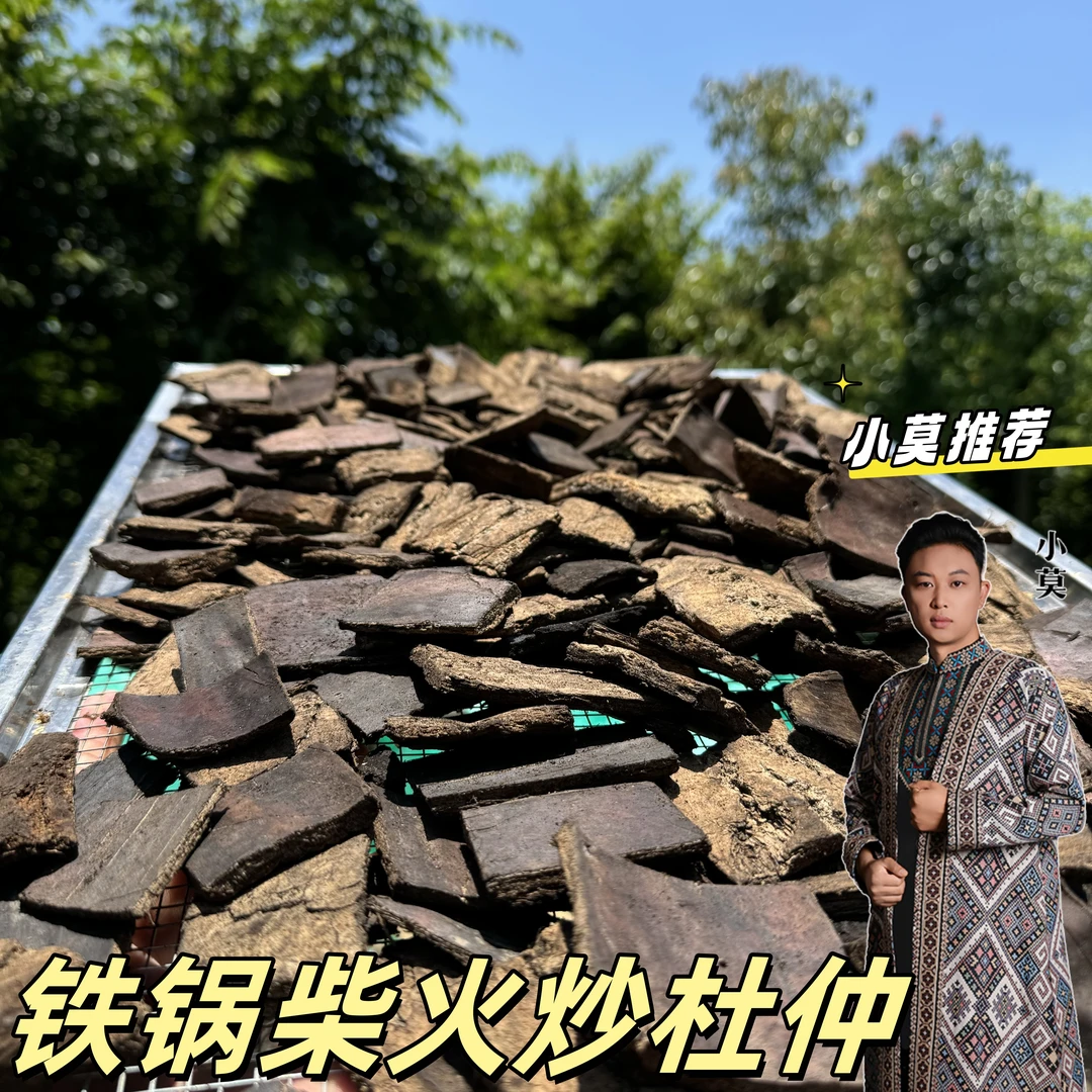 【炒杜仲】500g 铁锅柴火炒制                                  M