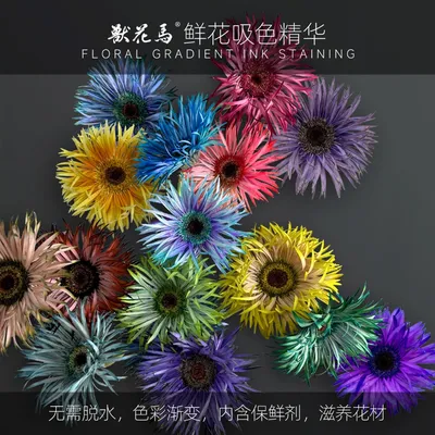 兽花马【鲜花吸色精华】 鲜花创意吸色剂染料/水墨染/时光染/