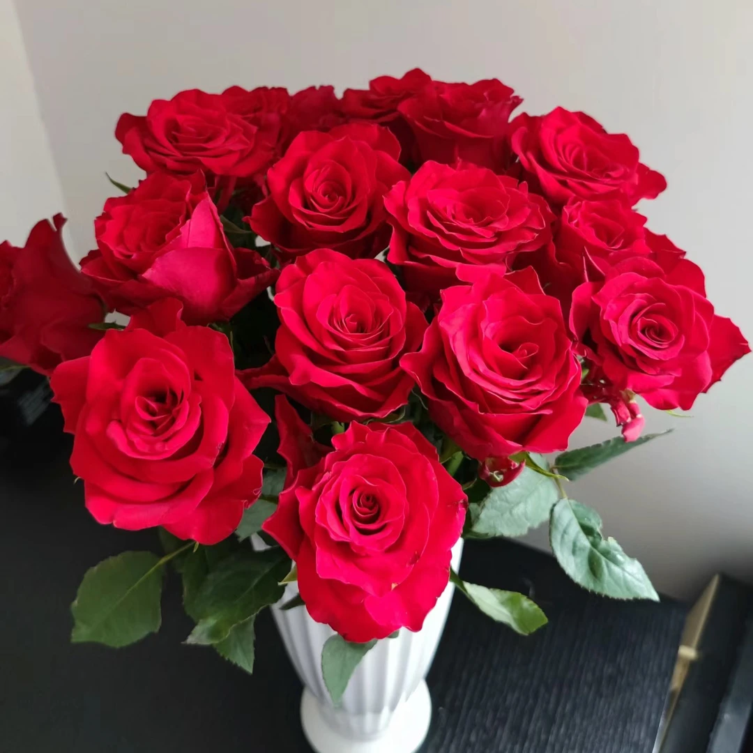 氧花季 思念玫瑰18支+2支防损 收到先醒花 拍2单升级快递