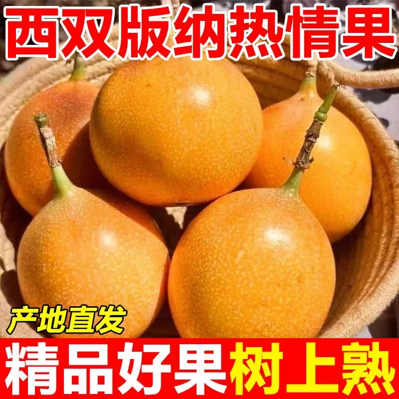 【一级果】云南西双版纳热情果爱情果新鲜水果稀有不常见高端水果