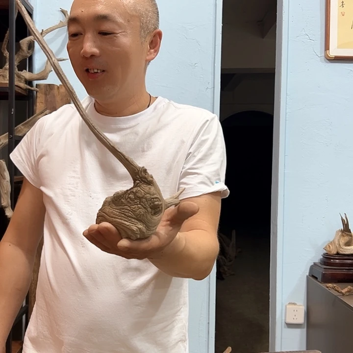 柏木四***༨我们都是好孩子呀打榜加油