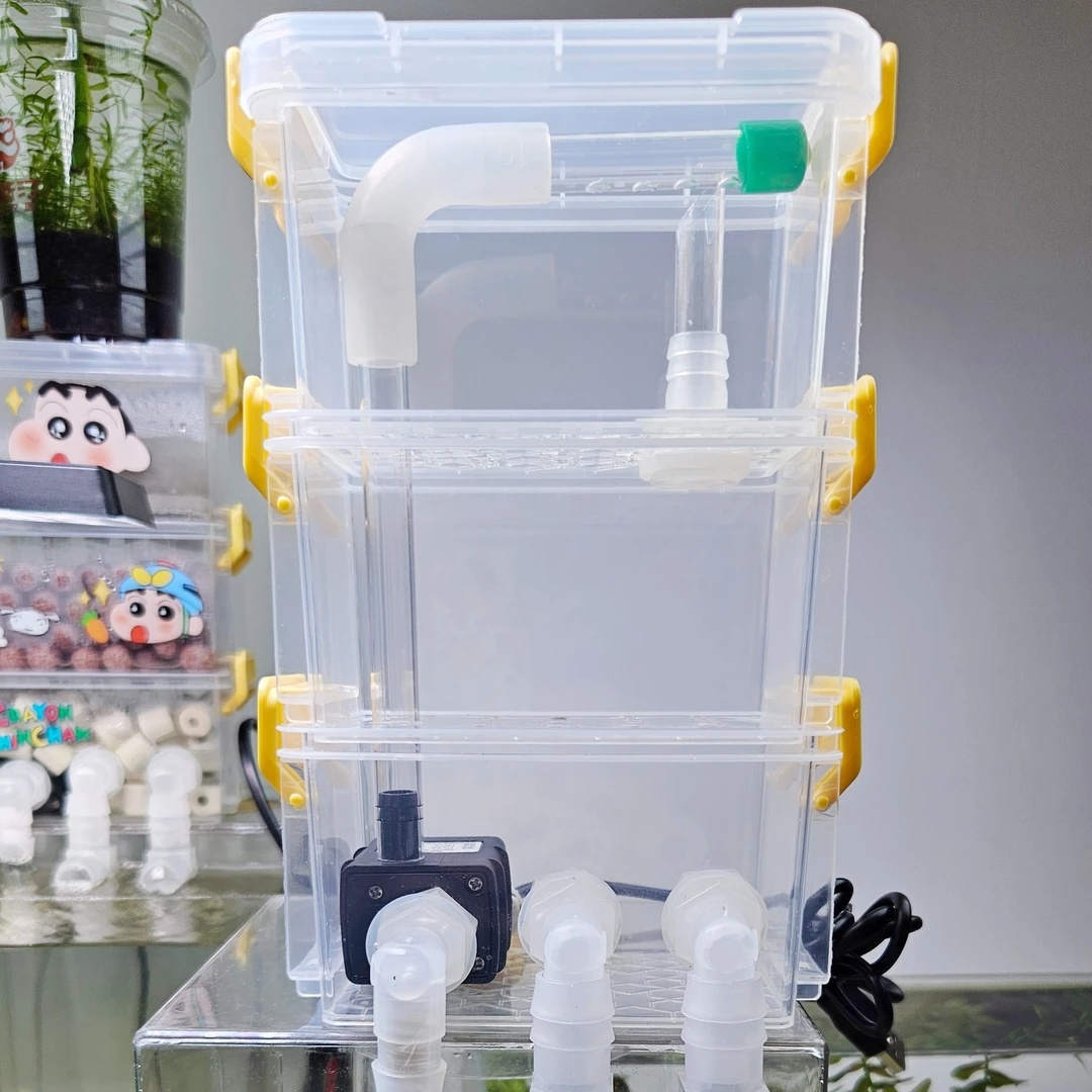 小鱼缸龟缸专用迷你周转箱蜘蛛版