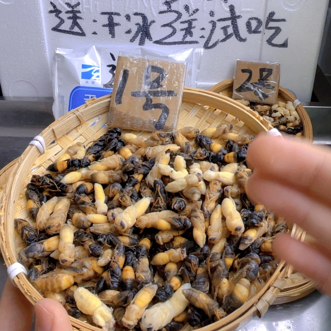 啊***力7天中国大陆树蜂四级五斤