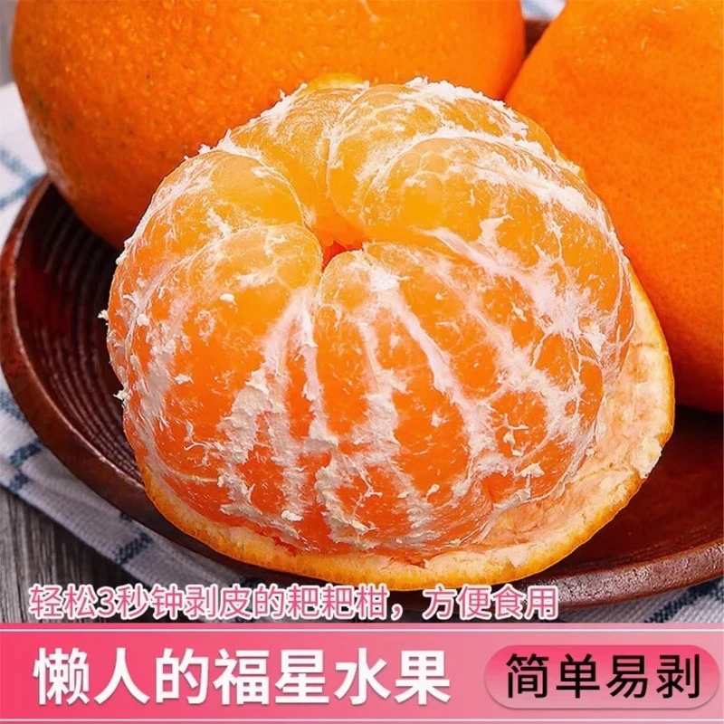 耙耙柑2024年头茬新鲜水果橘子当季新鲜水果LH