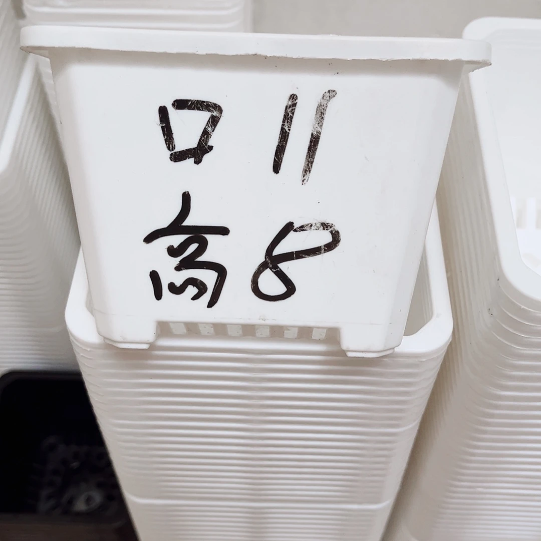 中厚口11高8白方盆20个无托