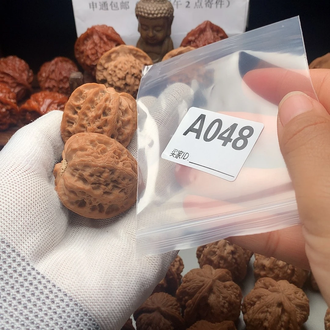诉***寻核桃盘山弗肚核桃048
