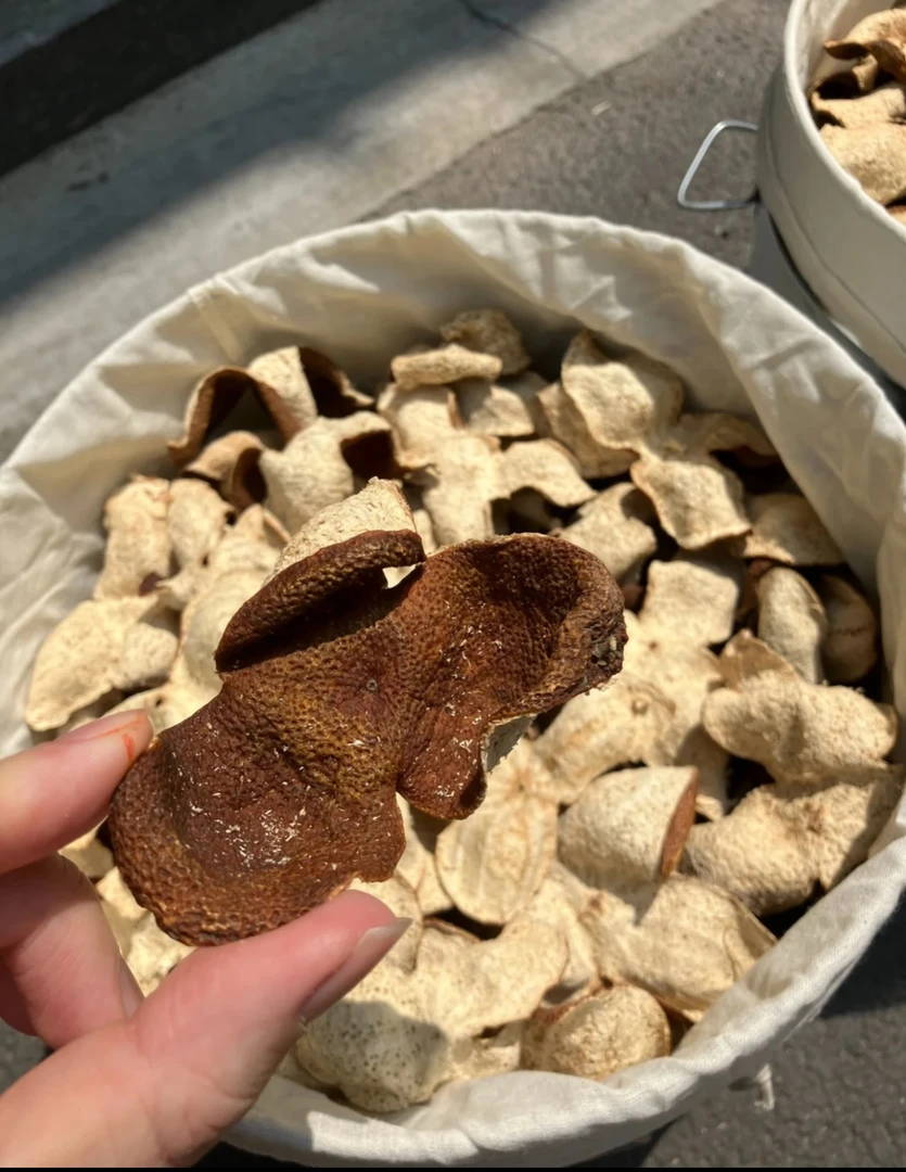 燕子专属--[陈皮]