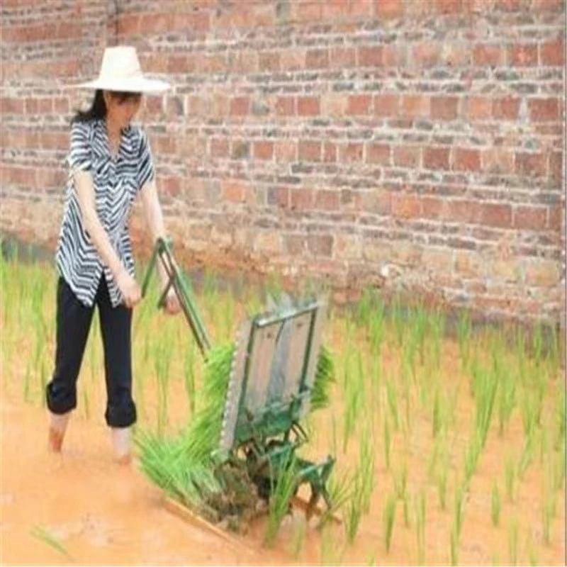 德国精工插秧机专用水稻新式手扶新款小型插秧机农用栽秧机稻谷手