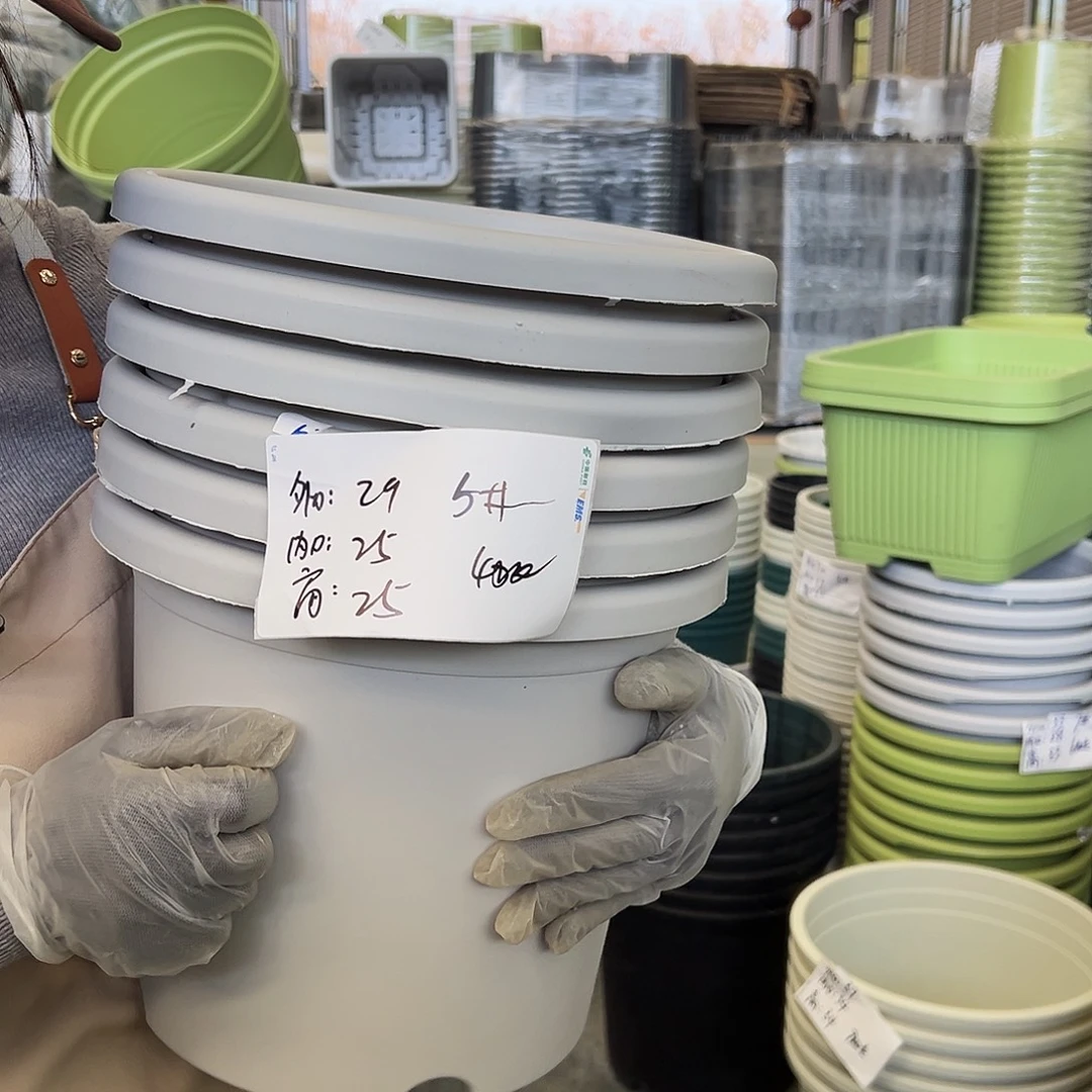 四季盆5#灰白色6个无托