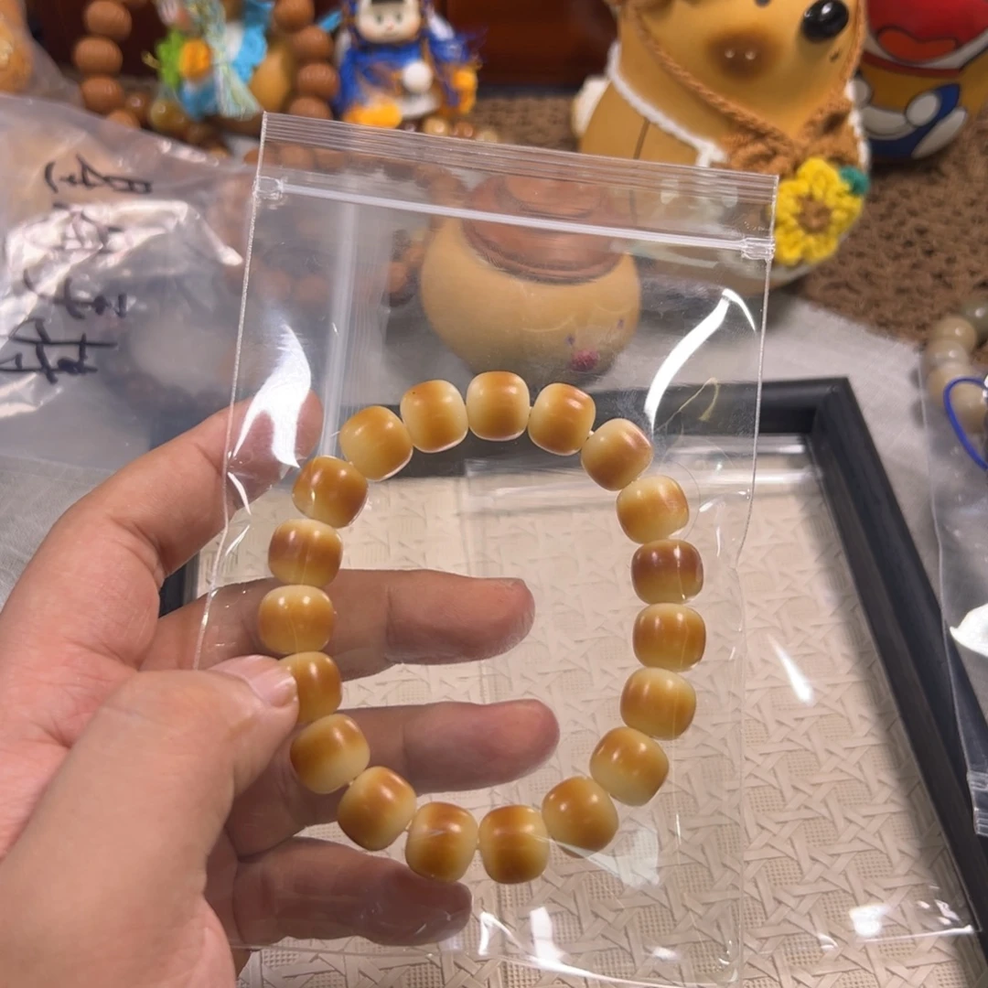 吊坠菩提根/象牙果500瑕