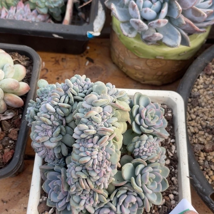 哈哈哈哈哈哈哈哈940