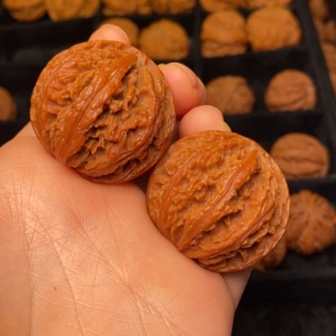 文玩核桃把件秦岭森林核桃