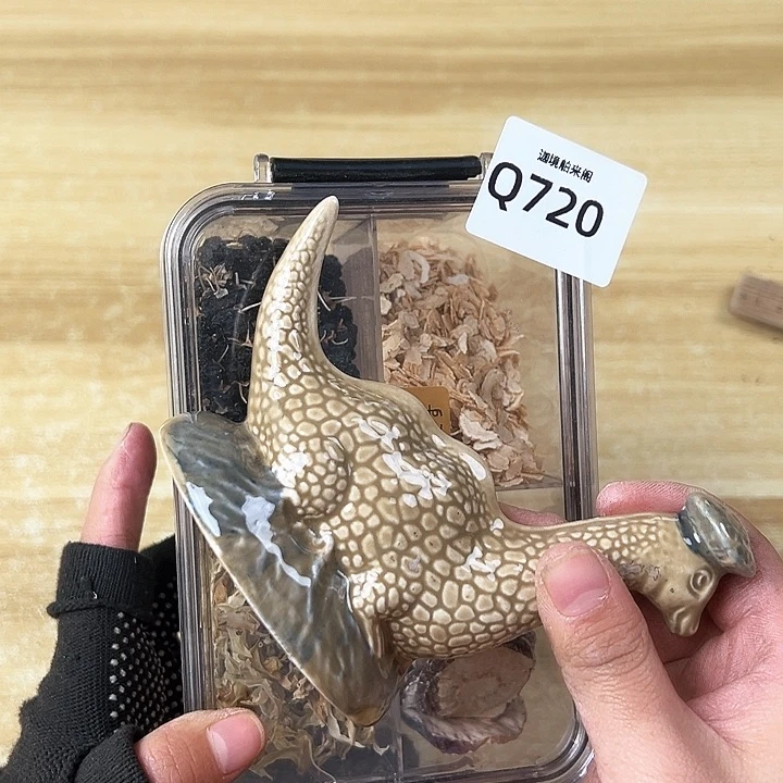 啊啊啊啊啊啊啊啊啊啊啊啊啊