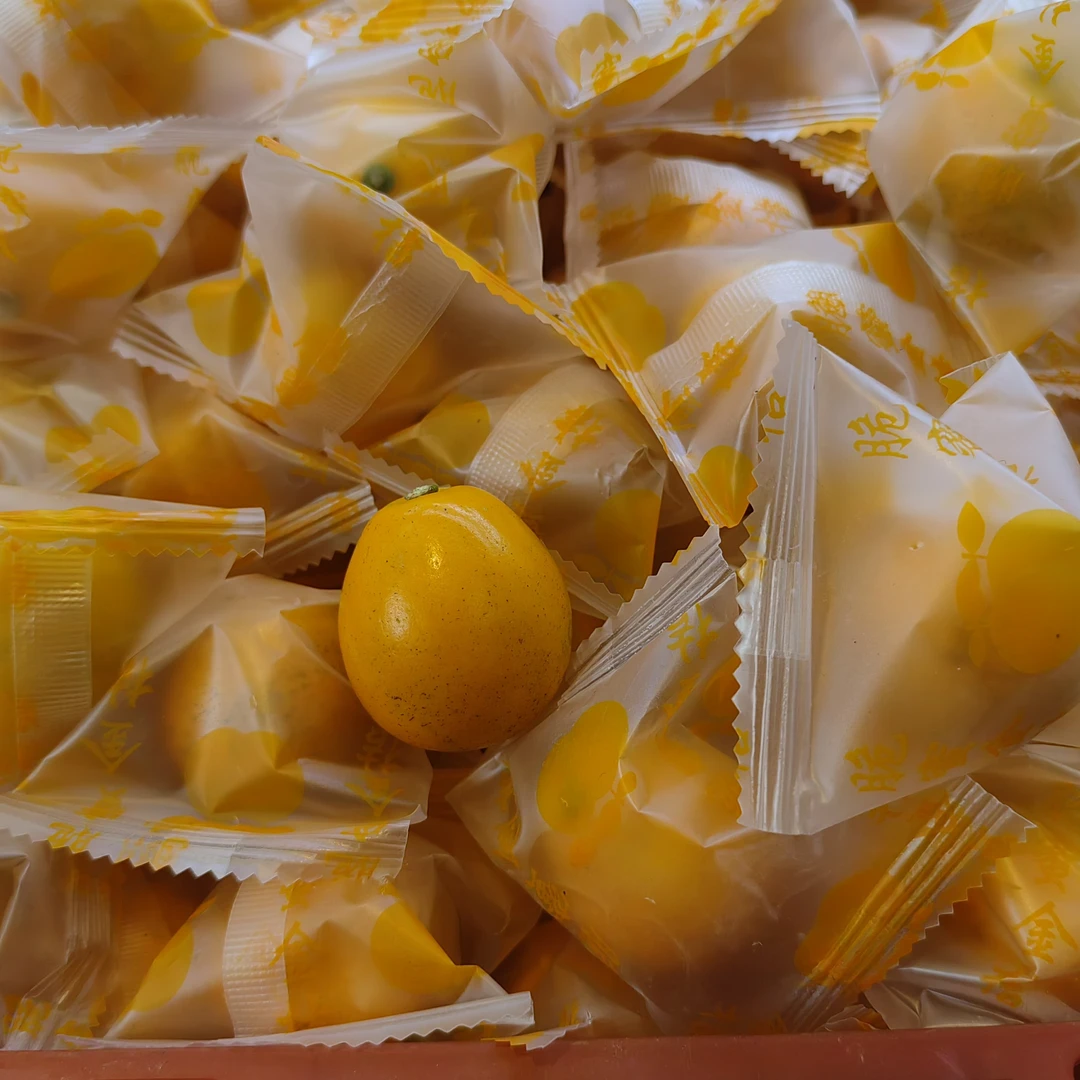 鑫鲜果屋广西蜜脆金桔（500g）