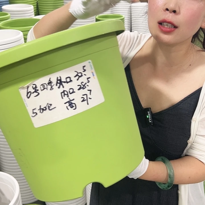 特价6号四季口32.5高27.7白色7只无托