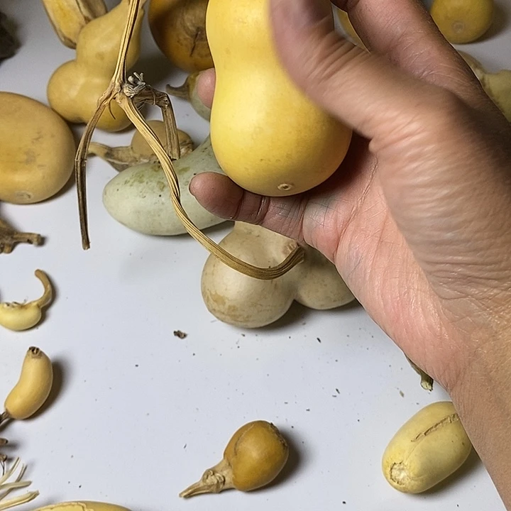 乐***女青皮葫芦手把件腰子