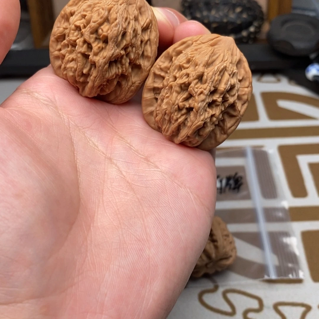虎头啦啦啦啦啦啦啦啦啦啦啦啦