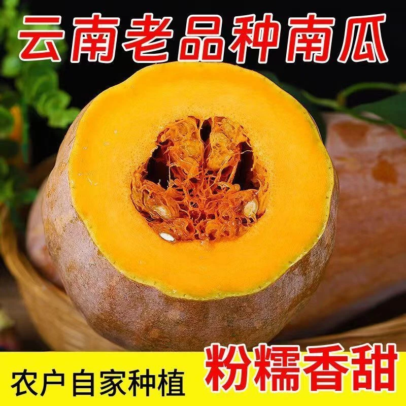 【南瓜哥严选】高山当季新鲜采摘蜜本老南瓜甜糯板栗味蔬菜