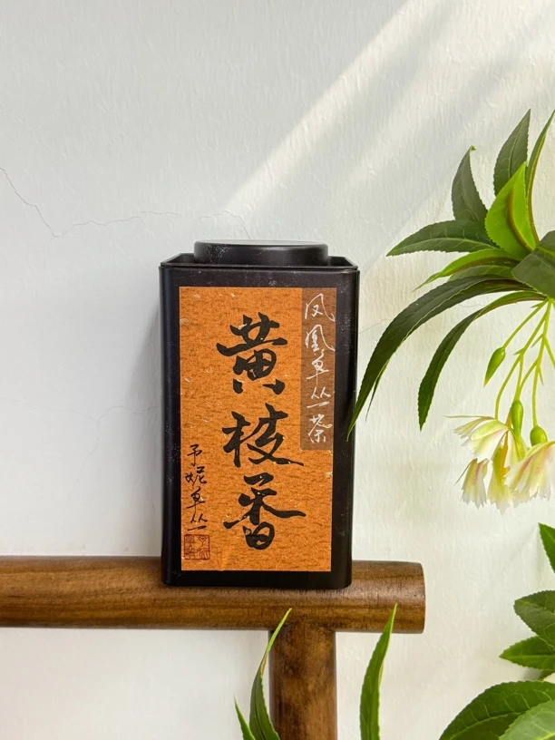 【黄枝香】栀子花香馥郁 醇厚饱满 老茶客的宝藏口粮茶