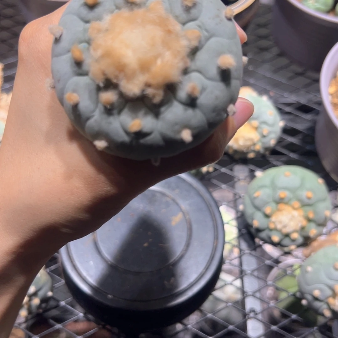 *****11111111111111111