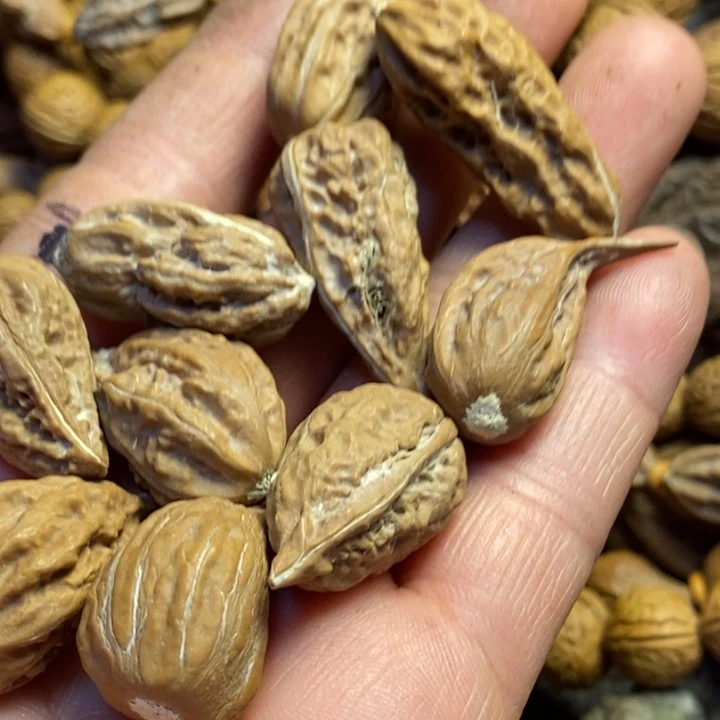 桃核吊坠哦东北62