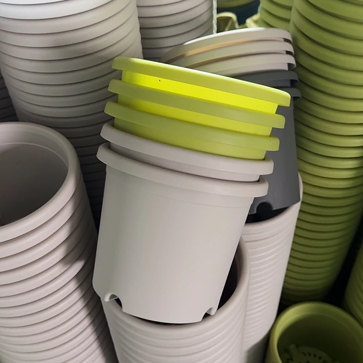 四季3#口径21果绿10个无托