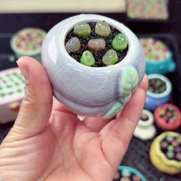 550零下地区记得拍保温箱满18包邮