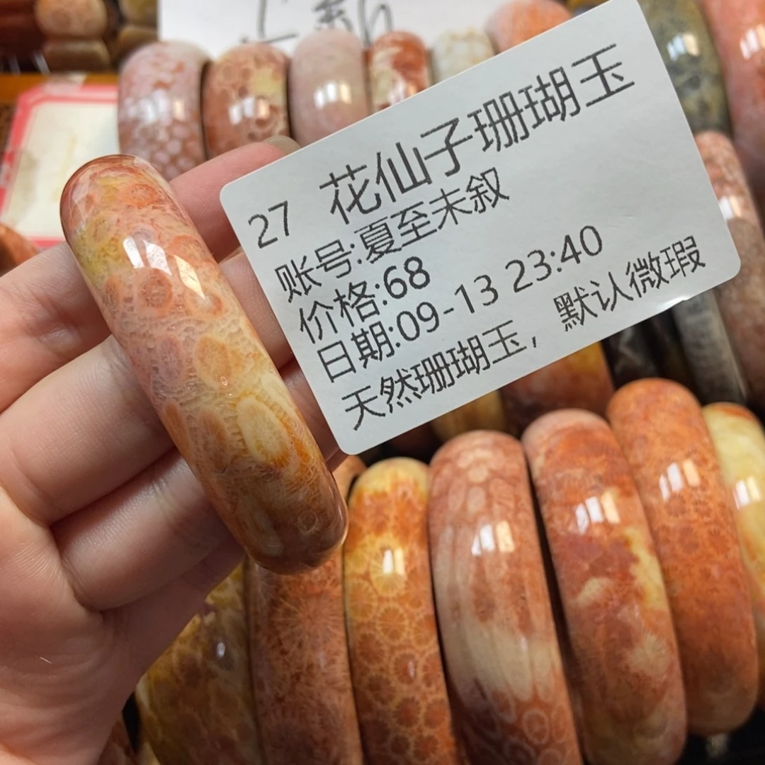 夏***叙未镶嵌硅化珊瑚（珊瑚玉）珠宝半成品27