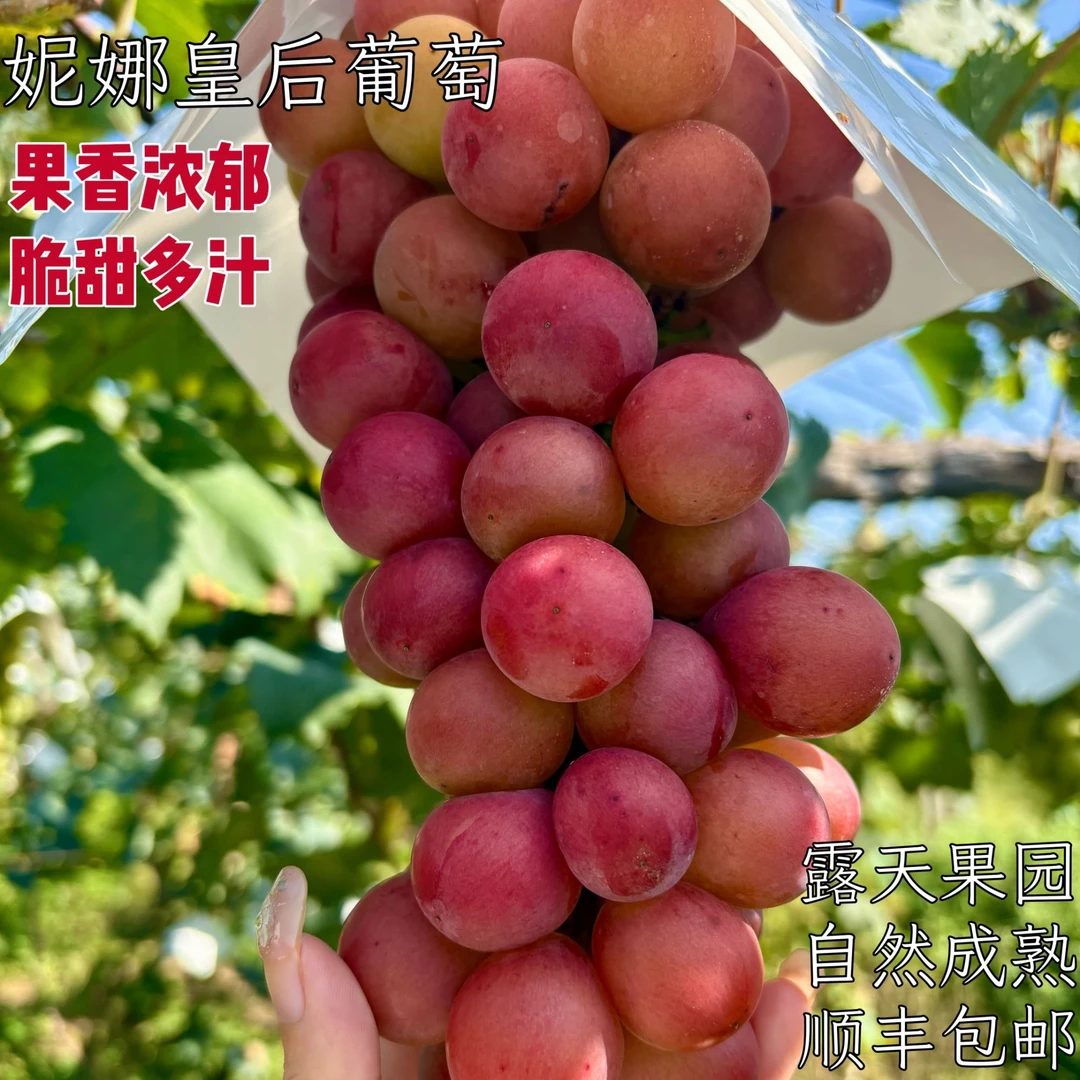 妮娜皇后整串发货顺丰包邮