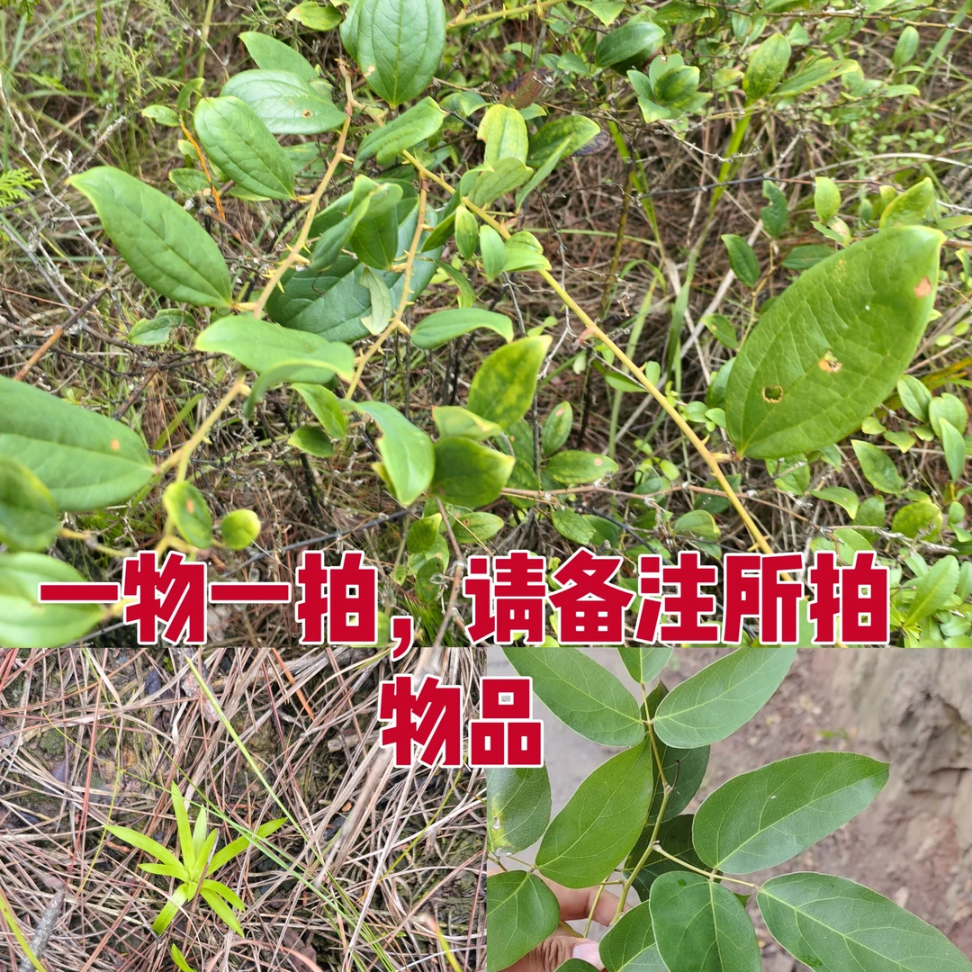 大妹山货 一物一拍直播链接下播勿拍 备注所拍物品