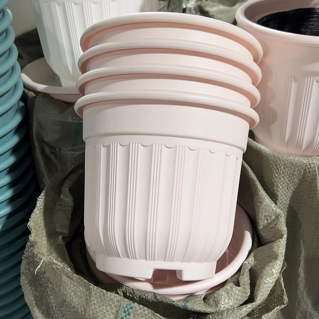 树脂罗马210粉4个带托