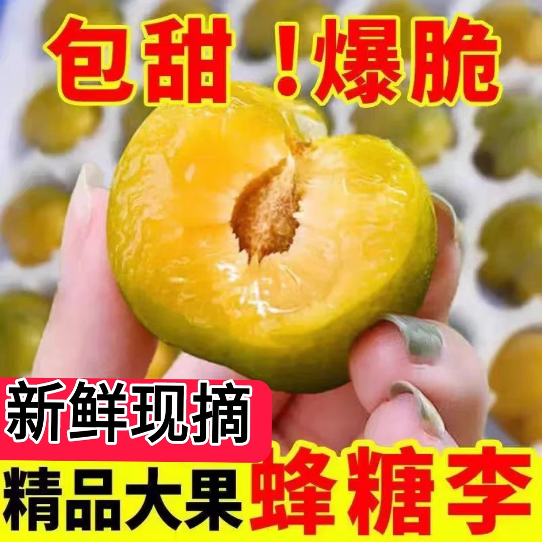 蜂糖李新鲜现发5斤新鲜脆甜李子当季现摘水果