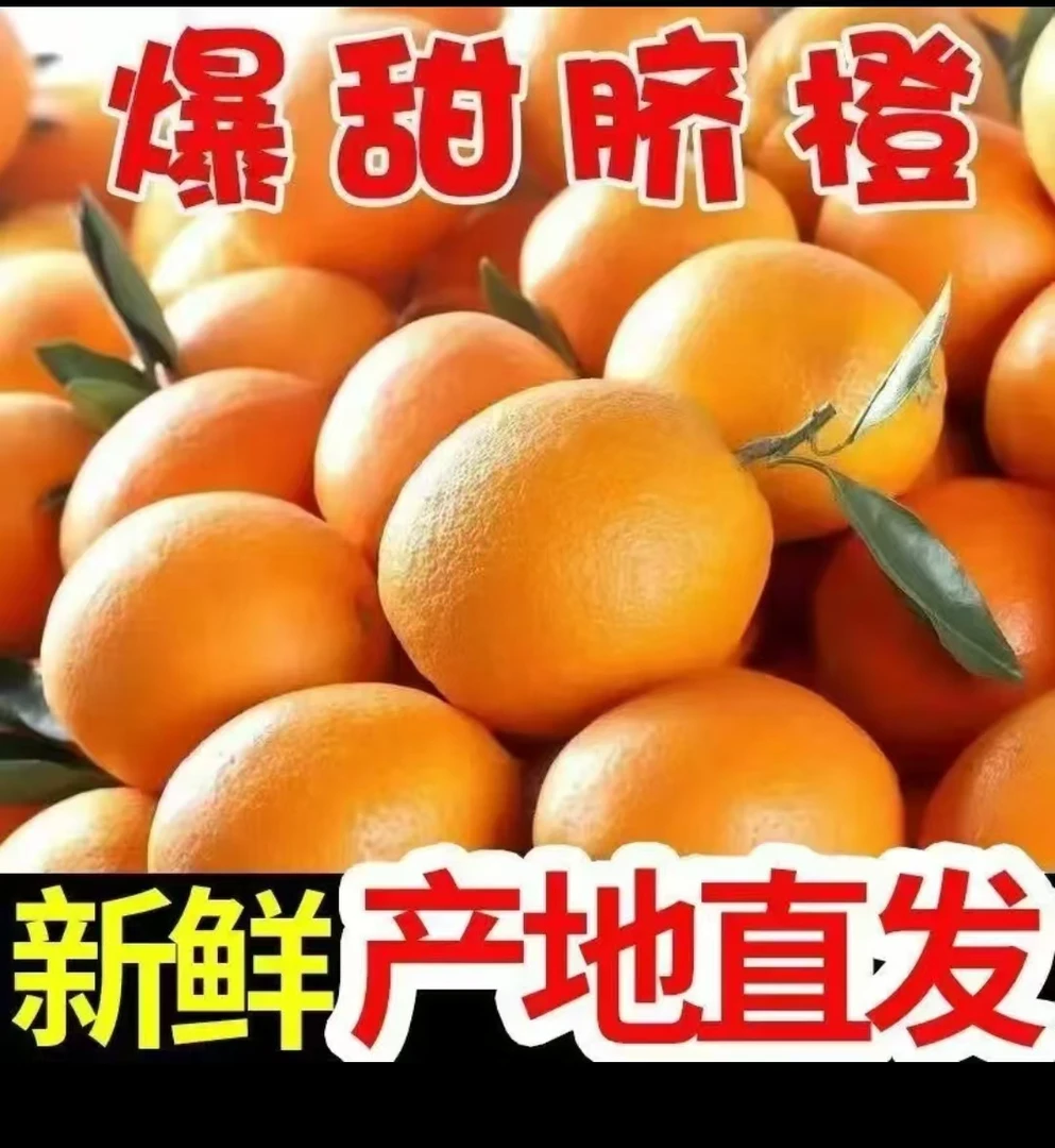 正宗脐橙赣南脐橙新鲜甜橙子当季水果脐橙