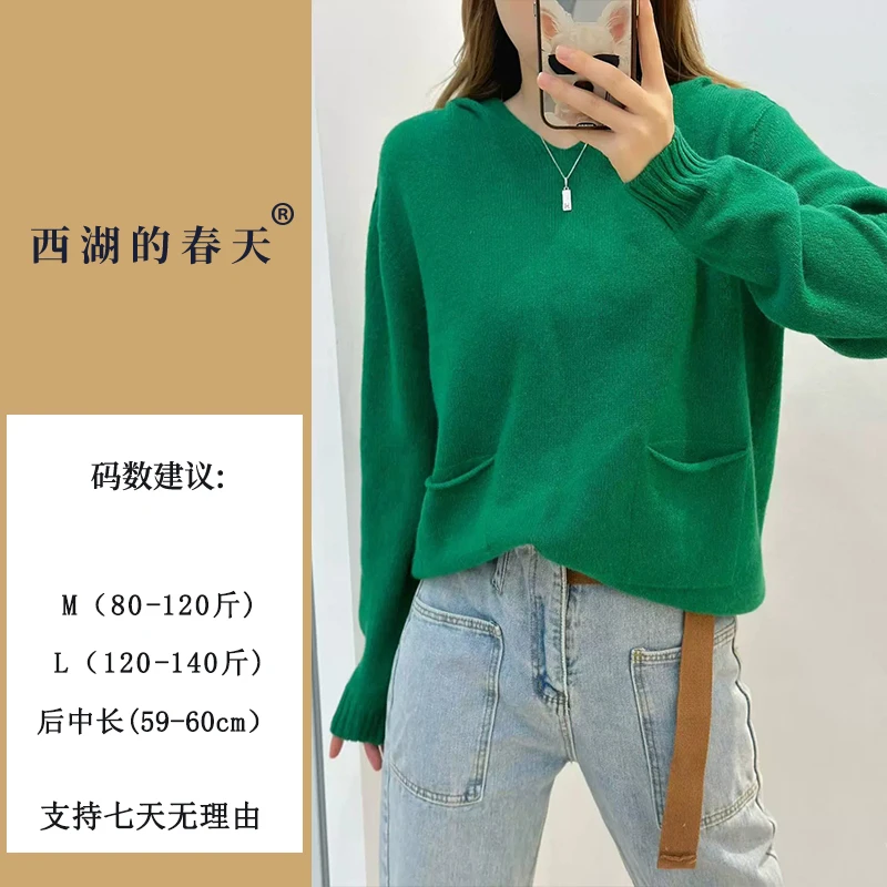 2025年春季新款连帽针织百搭毛衣衫纯色长袖上衣H738001女