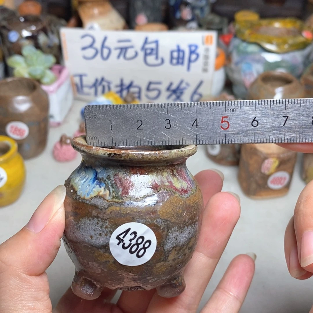 拍5送一个小礼物