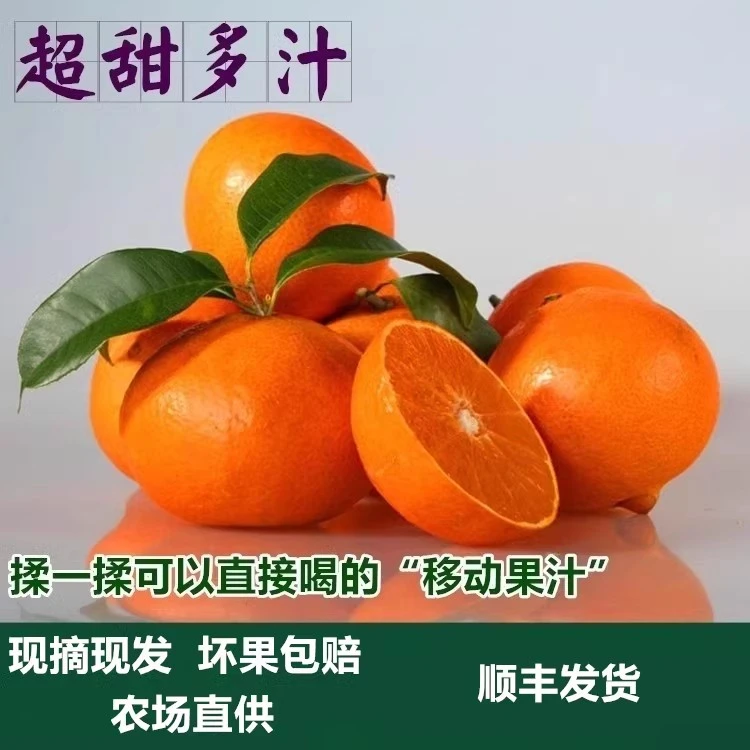 正宗红美人基地直发