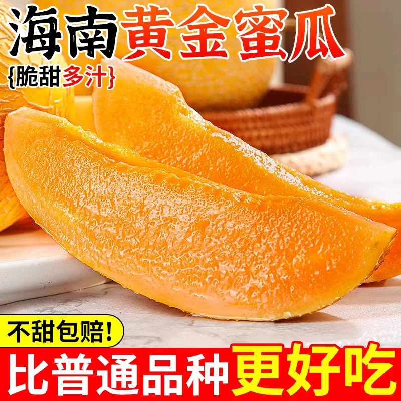 【地标甄选】海南香妃哈密瓜巨甜新鲜应季水果香妃蜜瓜