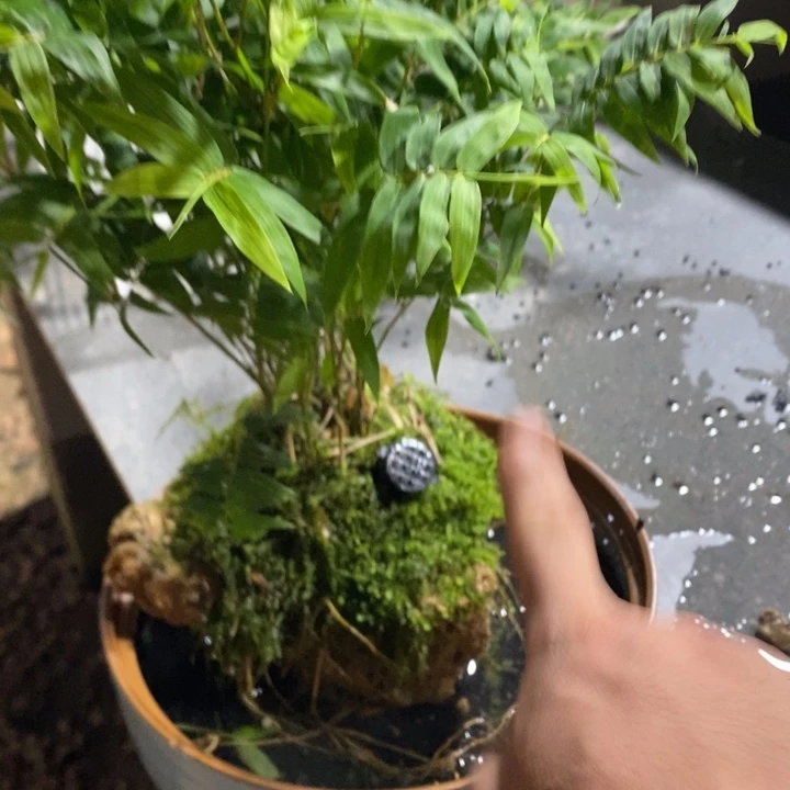 ?**淘退款拉黑一物一拍84
