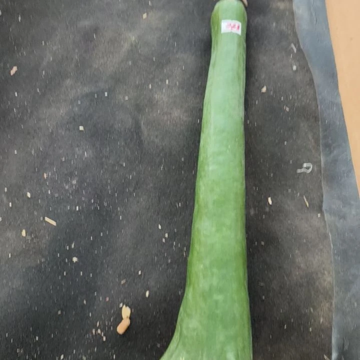 鹤手葫芦鹤手葫芦