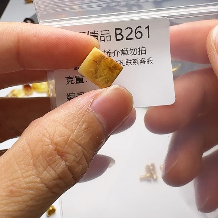 裸石琥珀未镶嵌琥珀