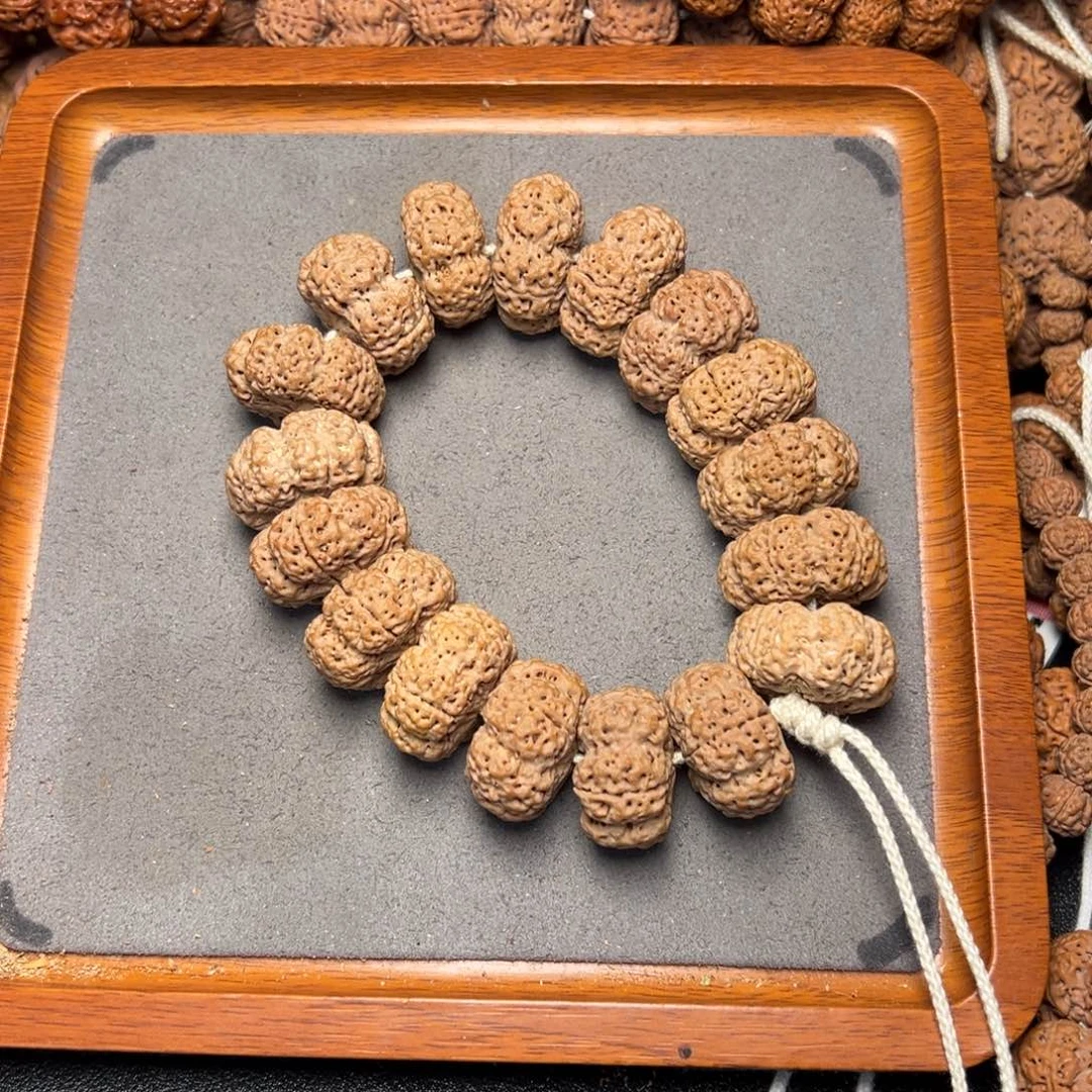 菩提2号尼泊尔大金刚26五星夹板菠萝蜜