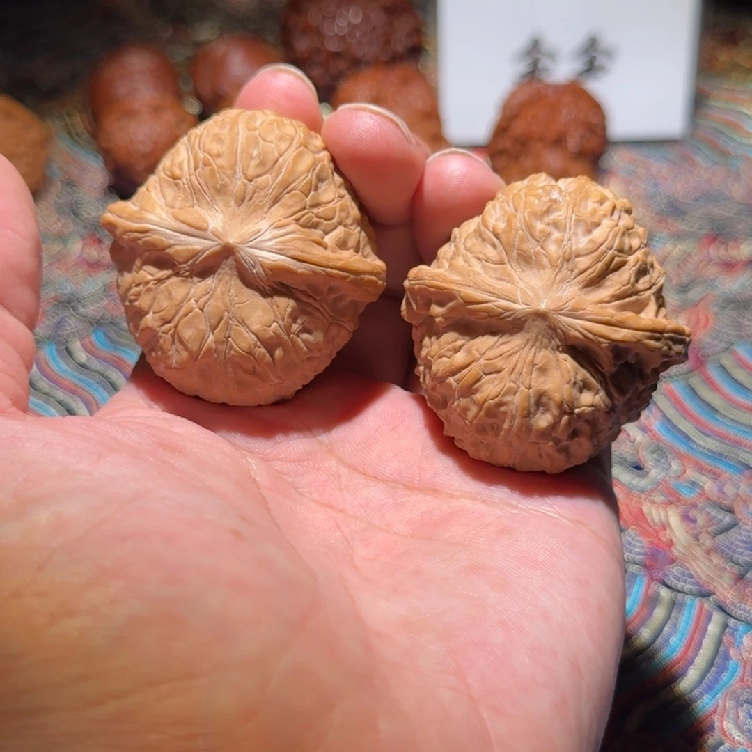 把件核桃351号，南瓜墩，尺寸45 46 33